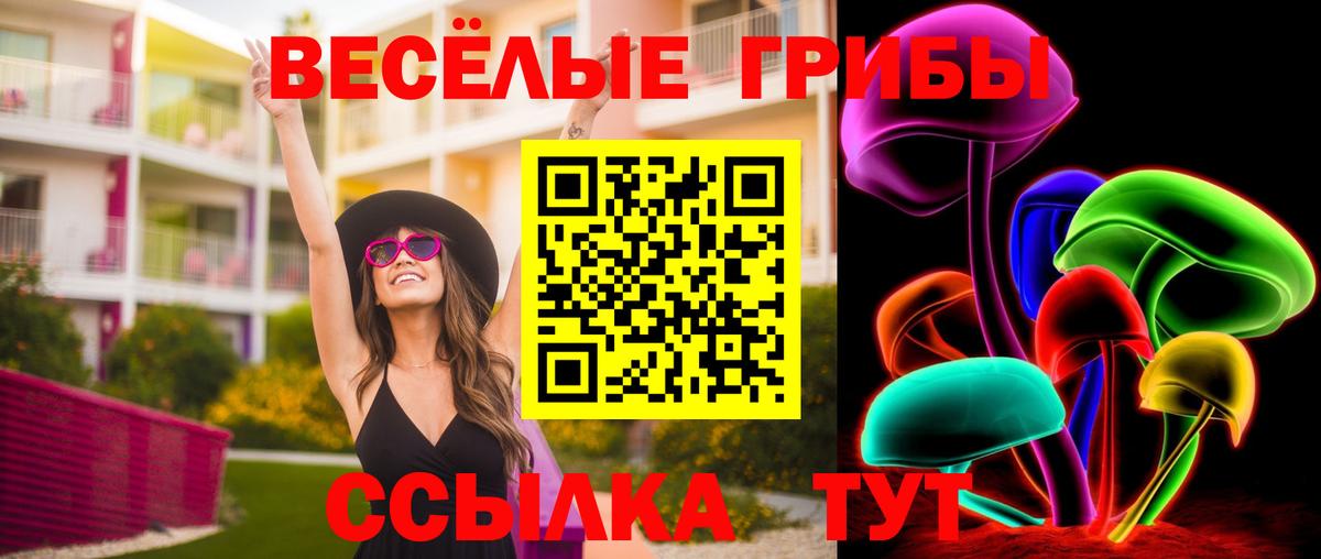 где продают   Псилоцибиновые грибы GOLDEN TEACHER  Вход с VPN  Кандалакша 