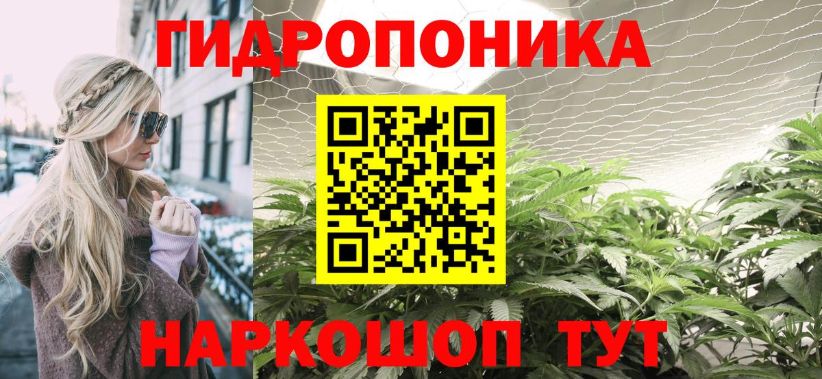Бошки Шишки Ganja  Бошки Шишки VHQ  Вход с VPN  Кандалакша  Марихуана конопля  Бошки марихуана семена 